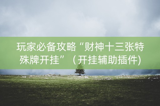 玩家必备攻略“财神十三张特殊牌开挂”（开挂辅助插件)