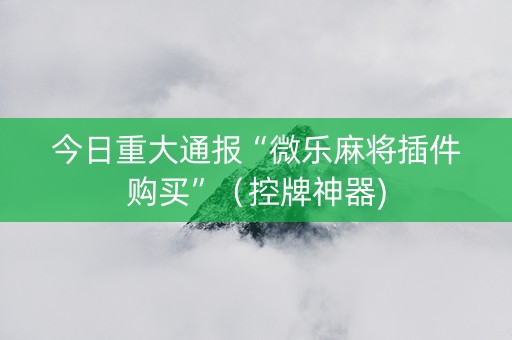 今日重大通报“微乐麻将插件购买”（控牌神器)