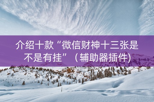 介绍十款“微信财神十三张是不是有挂”（辅助器插件)