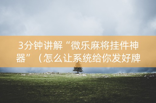 3分钟讲解“微乐麻将挂件神器”（怎么让系统给你发好牌)