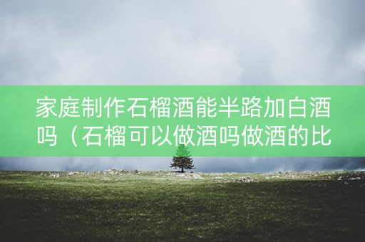 家庭制作石榴酒能半路加白酒吗（石榴可以做酒吗做酒的比例是多少）