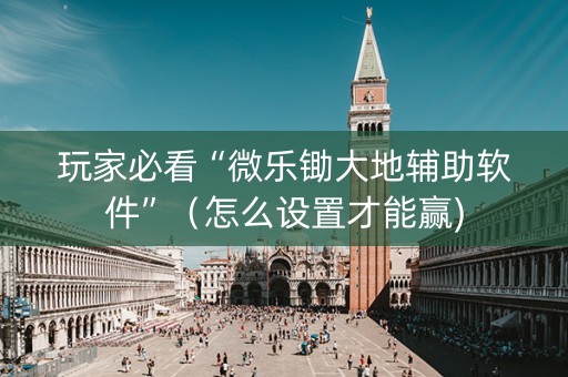 玩家必看“微乐锄大地辅助软件”（怎么设置才能赢)