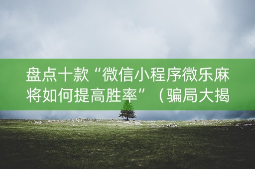 盘点十款“微信小程序微乐麻将如何提高胜率”（骗局大揭秘)