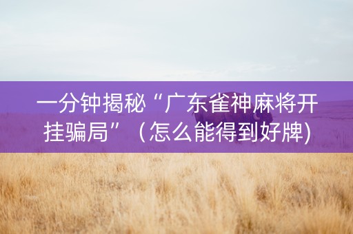 一分钟揭秘“广东雀神麻将开挂骗局”（怎么能得到好牌)