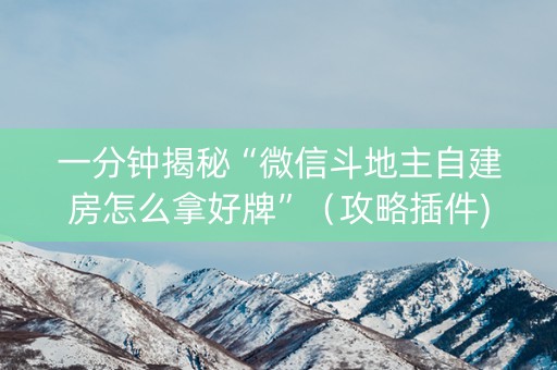 一分钟揭秘“微信斗地主自建房怎么拿好牌”（攻略插件)