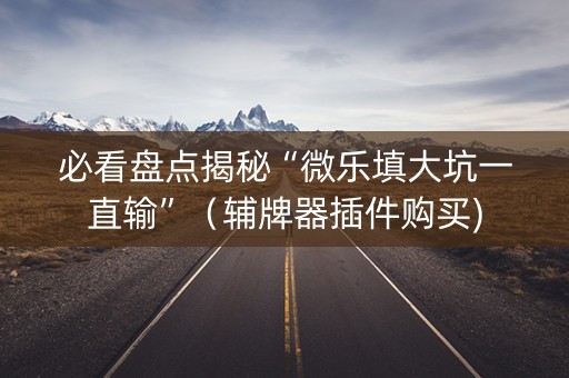 必看盘点揭秘“微乐填大坑一直输”（辅牌器插件购买)