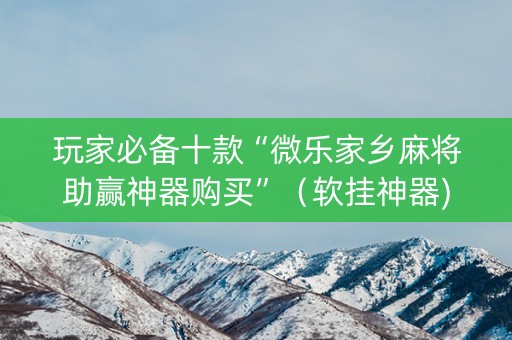 玩家必备十款“微乐家乡麻将助赢神器购买”（软挂神器)