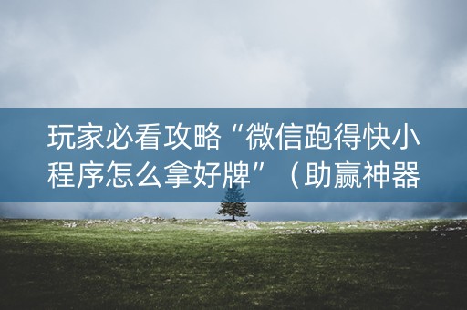 玩家必看攻略“微信跑得快小程序怎么拿好牌”（助赢神器购买)