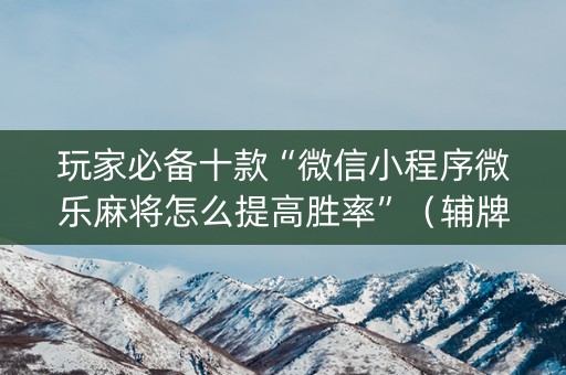 玩家必备十款“微信小程序微乐麻将怎么提高胜率”（辅牌器插件购买)