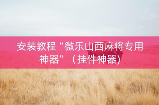 安装教程“微乐山西麻将专用神器”（挂件神器)
