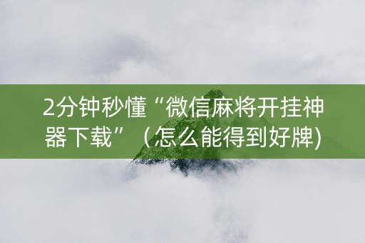 2分钟秒懂“微信麻将开挂神器下载”（怎么能得到好牌)