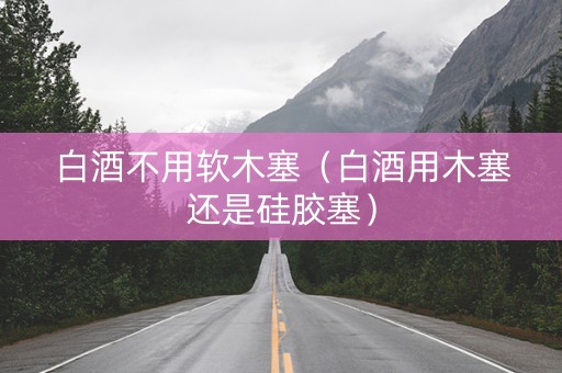 白酒不用软木塞（白酒用木塞还是硅胶塞）