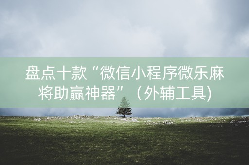 盘点十款“微信小程序微乐麻将助赢神器”（外辅工具)