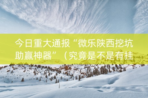 今日重大通报“微乐陕西挖坑助赢神器”（究竟是不是有挂)
