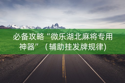 必备攻略“微乐湖北麻将专用神器”（辅助挂发牌规律)