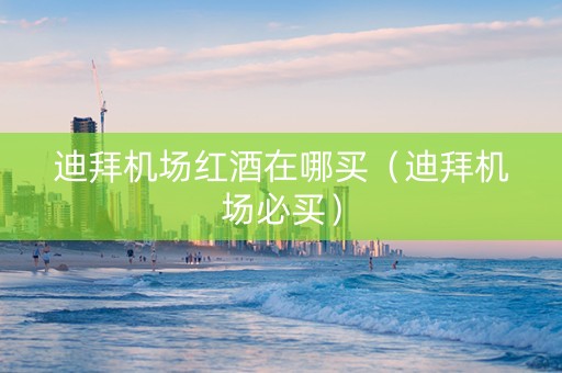迪拜机场红酒在哪买（迪拜机场必买）