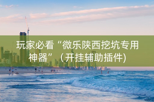 玩家必看“微乐陕西挖坑专用神器”（开挂辅助插件)