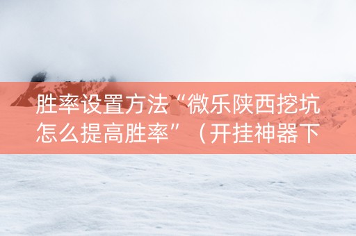 胜率设置方法“微乐陕西挖坑怎么提高胜率”（开挂神器下载)