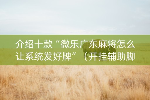 介绍十款“微乐广东麻将怎么让系统发好牌”（开挂辅助脚本)
