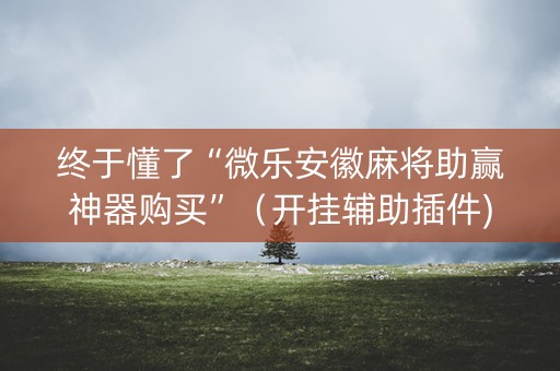 终于懂了“微乐安徽麻将助赢神器购买”（开挂辅助插件)