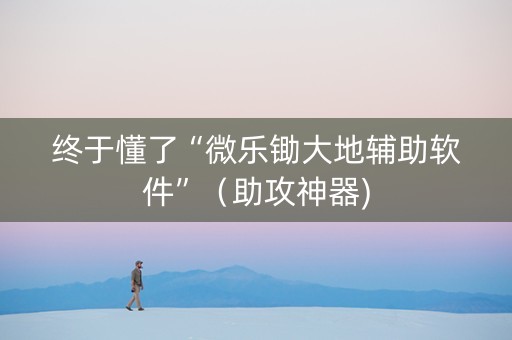 终于懂了“微乐锄大地辅助软件”（助攻神器)