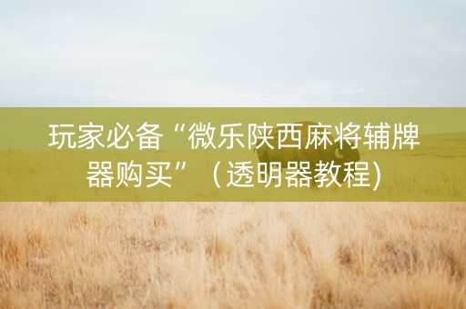 玩家必备“微乐陕西麻将辅牌器购买”（透明器教程)