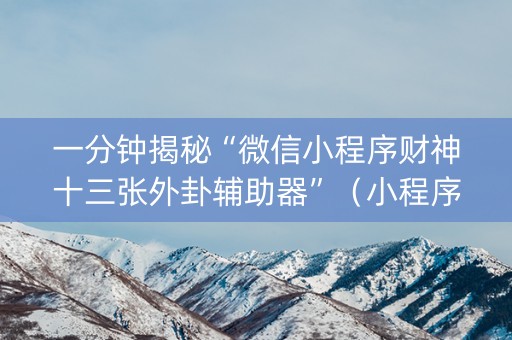 一分钟揭秘“微信小程序财神十三张外卦辅助器”（小程序控牌器)