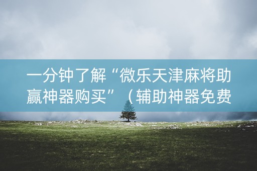 一分钟了解“微乐天津麻将助赢神器购买”（辅助神器免费)