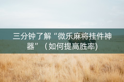 三分钟了解“微乐麻将挂件神器”（如何提高胜率)