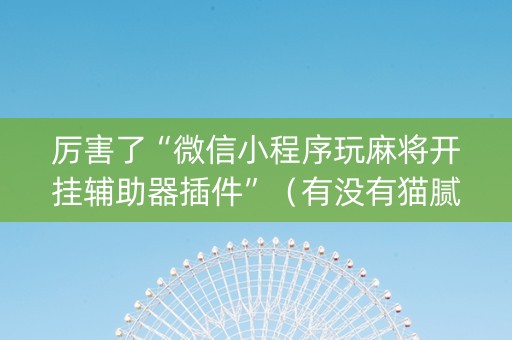 厉害了“微信小程序玩麻将开挂辅助器插件”（有没有猫腻)