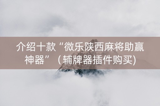 介绍十款“微乐陕西麻将助赢神器”（辅牌器插件购买)