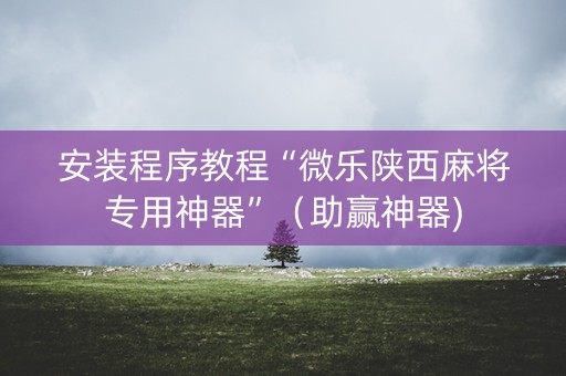 安装程序教程“微乐陕西麻将专用神器”（助赢神器)