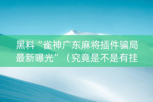 黑料“雀神广东麻将插件骗局最新曝光”（究竟是不是有挂)