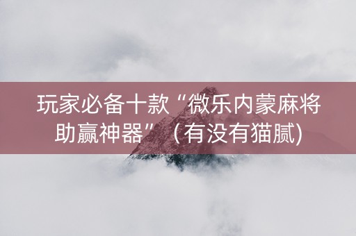 玩家必备十款“微乐内蒙麻将助赢神器”（有没有猫腻)