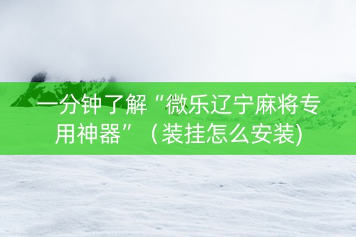 一分钟了解“微乐辽宁麻将专用神器”（装挂怎么安装)