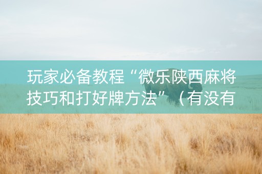 玩家必备教程“微乐陕西麻将技巧和打好牌方法”（有没有猫腻)