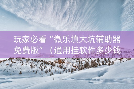 玩家必看“微乐填大坑辅助器免费版”（通用挂软件多少钱)