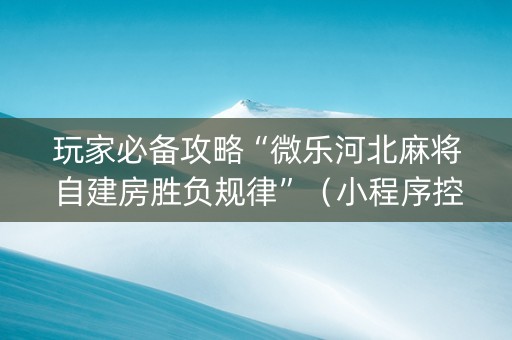 玩家必备攻略“微乐河北麻将自建房胜负规律”（小程序控牌器)