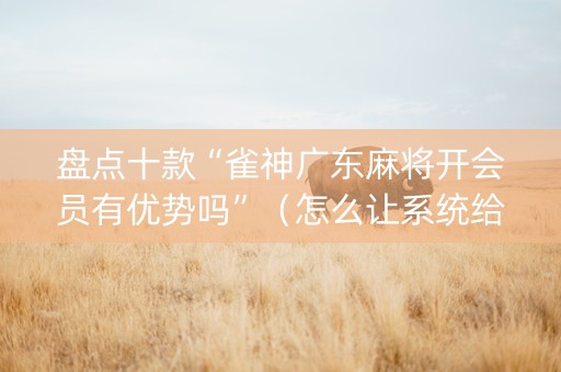 盘点十款“雀神广东麻将开会员有优势吗”（怎么让系统给你发好牌)