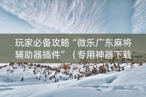 玩家必备攻略“微乐广东麻将辅助器插件”（专用神器下载)