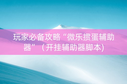 玩家必备攻略“微乐掼蛋辅助器”（开挂辅助器脚本)