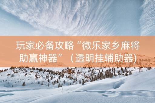 玩家必备攻略“微乐家乡麻将助赢神器”（透明挂辅助器)