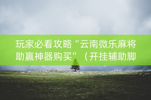 玩家必看攻略“云南微乐麻将助赢神器购买”（开挂辅助脚本)