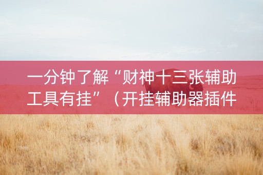 一分钟了解“财神十三张辅助工具有挂”（开挂辅助器插件)