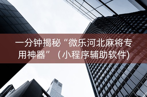 一分钟揭秘“微乐河北麻将专用神器”（小程序辅助软件)