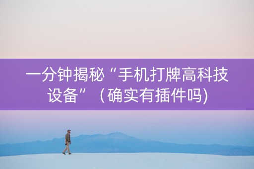 一分钟揭秘“手机打牌高科技设备”（确实有插件吗)