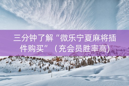 三分钟了解“微乐宁夏麻将插件购买”（充会员胜率高)