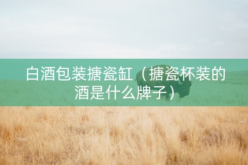 白酒包装搪瓷缸（搪瓷杯装的酒是什么牌子）