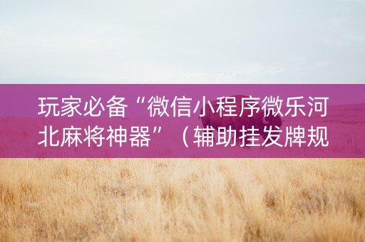 玩家必备“微信小程序微乐河北麻将神器”（辅助挂发牌规律)