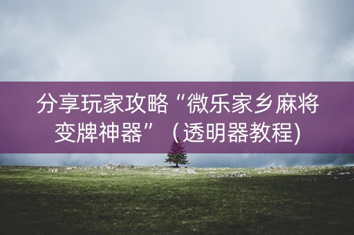 分享玩家攻略“微乐家乡麻将变牌神器”（透明器教程)